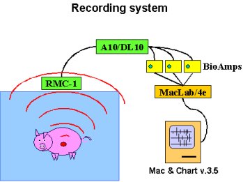 pigrecordingsystem