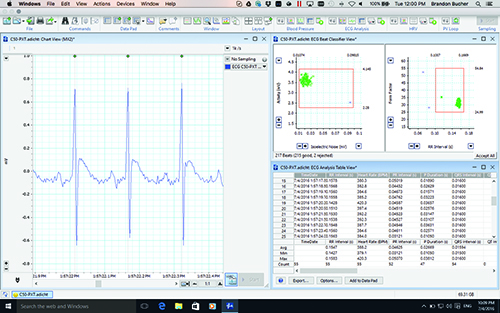 Lab Chart