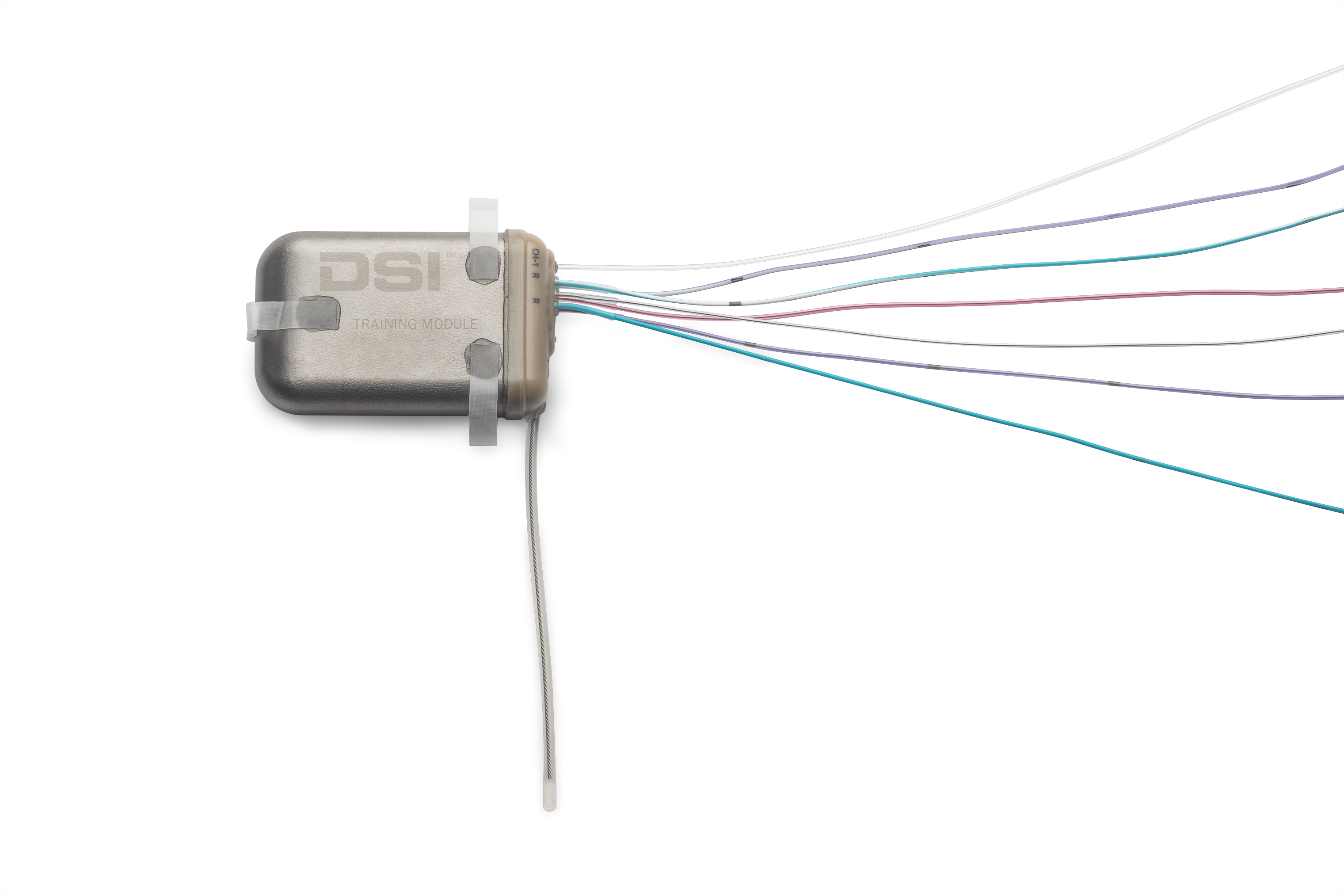 L11R, cardiopulmonary, cardiopulmonary implant, large animal telemetry