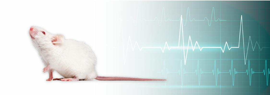 animal welfare