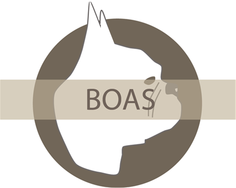 BOAS
