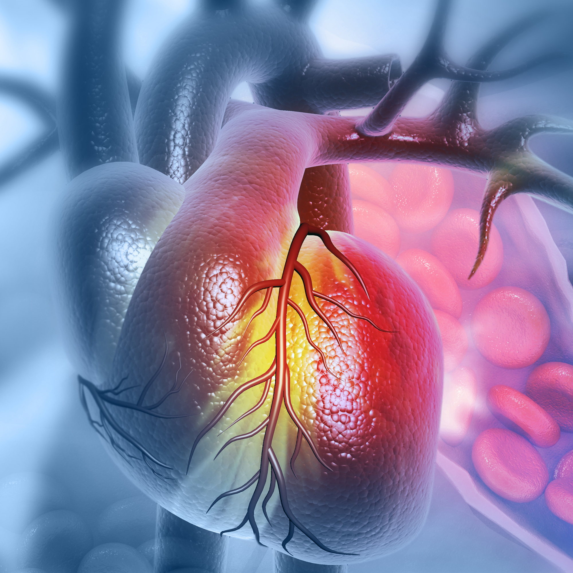 Cardiovascular_Disease