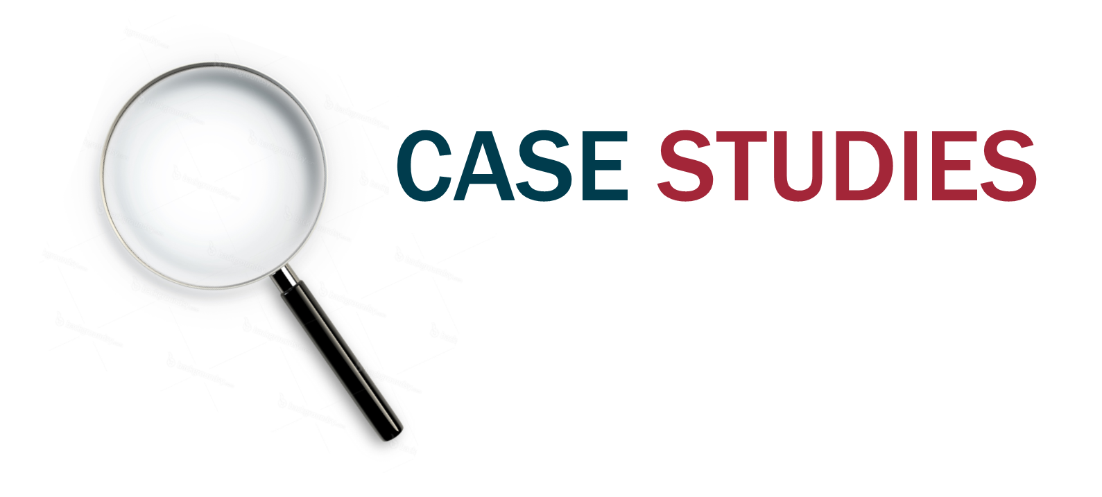 Case Studies