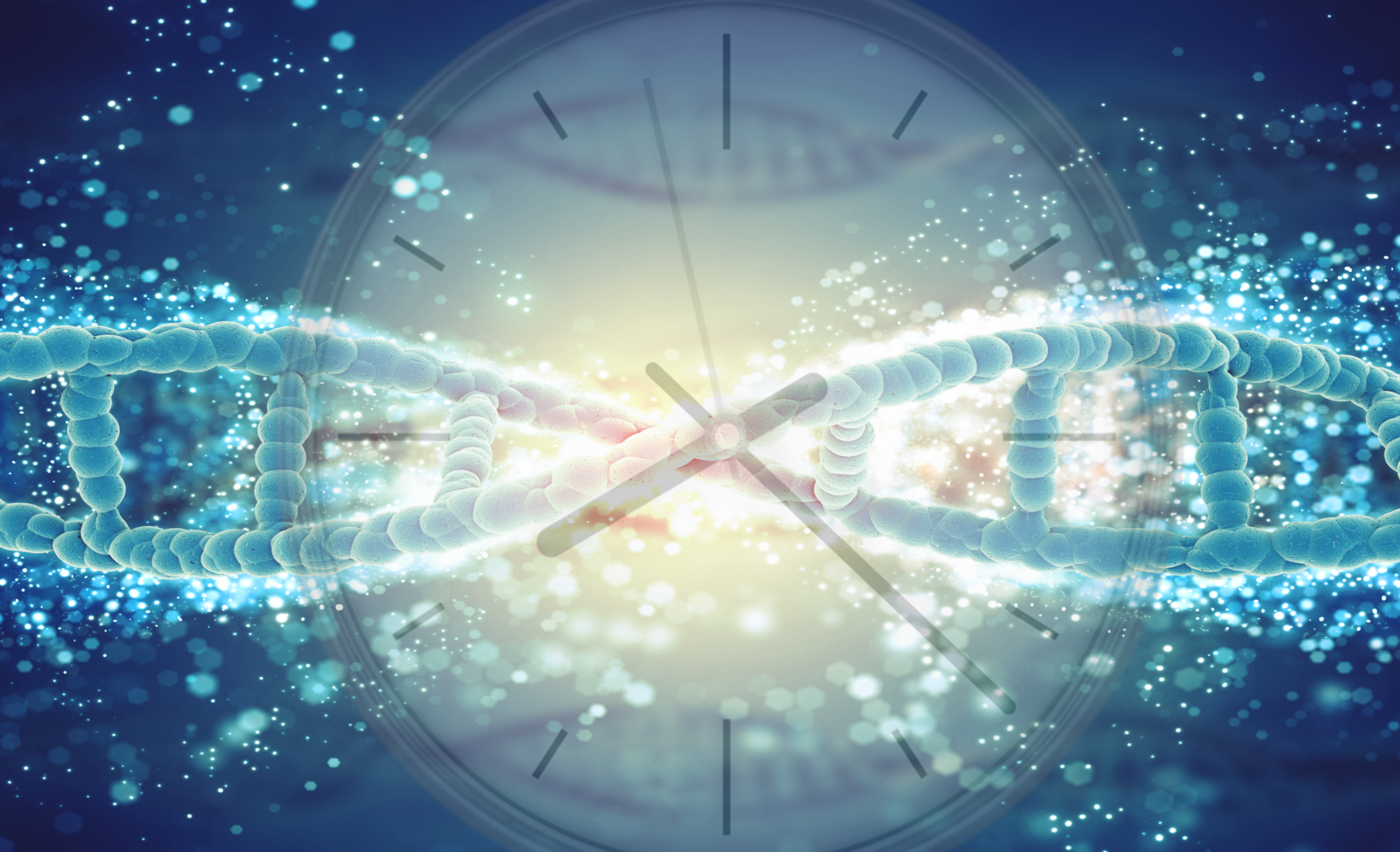 oncology, circadian rhythm, cancer