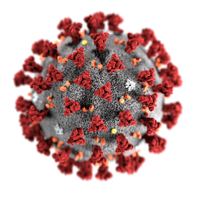 Coronavirus-CDC-645x645