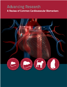 cardiovascular, preclinical biomarkers, cardiovascular biomarkers, heart rate variability, contractility, blood pressure, ECG, pulse wave velocity