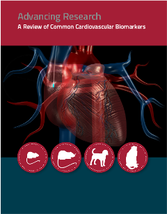 cardiovascular, preclinical biomarkers, cardiovascular biomarkers, heart rate variability, contractility, blood pressure, ECG, pulse wave velocity