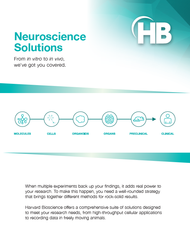 HB neuro brochure