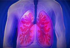 pulmonary fibrosis, lung, lung fibrosis, fibrosis