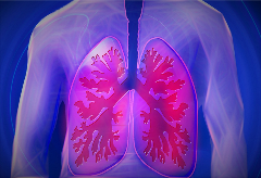 Lungs_PulFib pulmonary fibrosis, lung, lung fibrosis, fibrosis