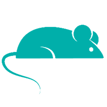Mouse Icon