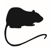 Mouse Silhouette