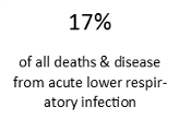 Air pollution, respiratory infection, pollution, Acute Lower Respiratory Infections