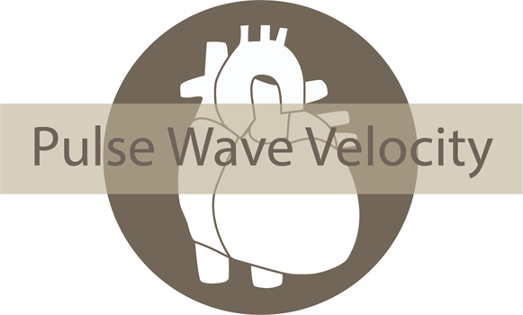 Pulse Wave Velocity Pwv
