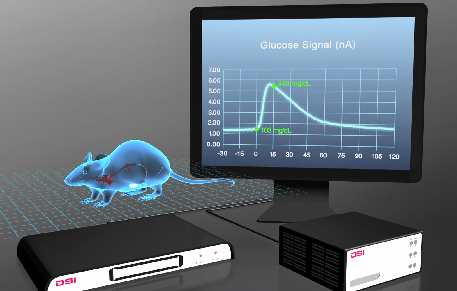 rat glucose