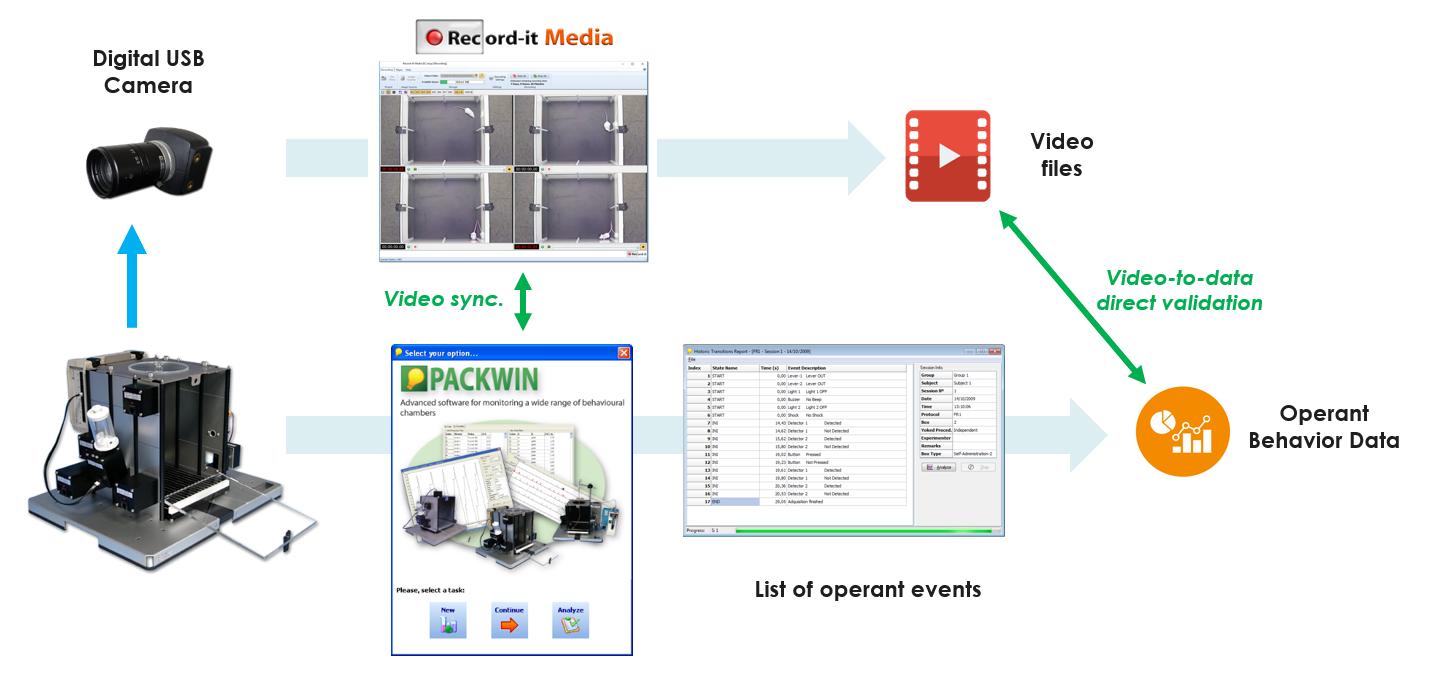 RecordITMedia  Panlab Operant