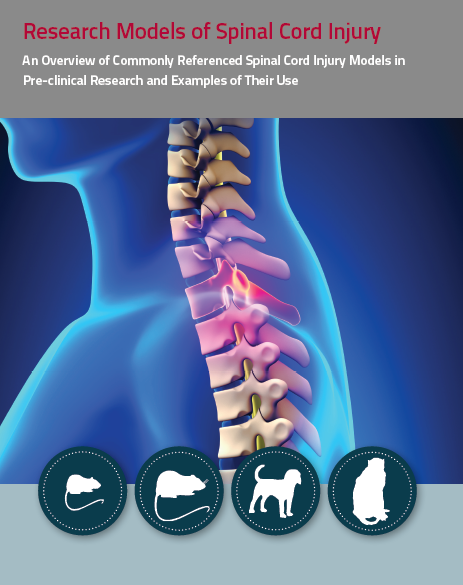 spinal cord injury, spine injury, paralysis