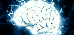 Brain brain, neuro, neuroscience, cns, society for neuroscience, sfn, neuroscience 2018, sfn 18