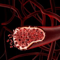 Blood Glucose