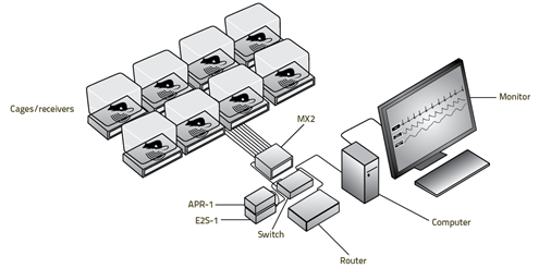 System image