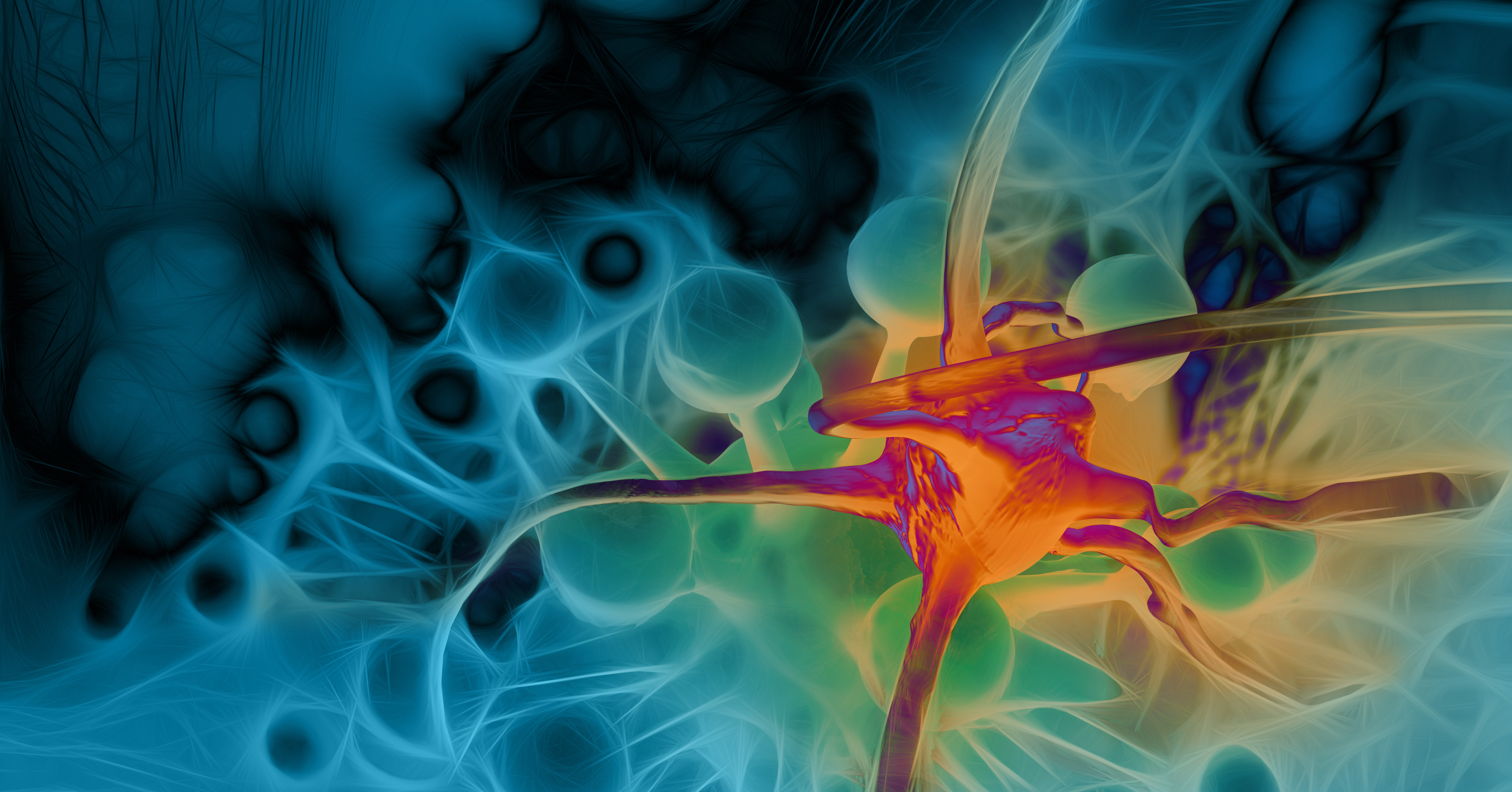 Temperature, oncology, cancer