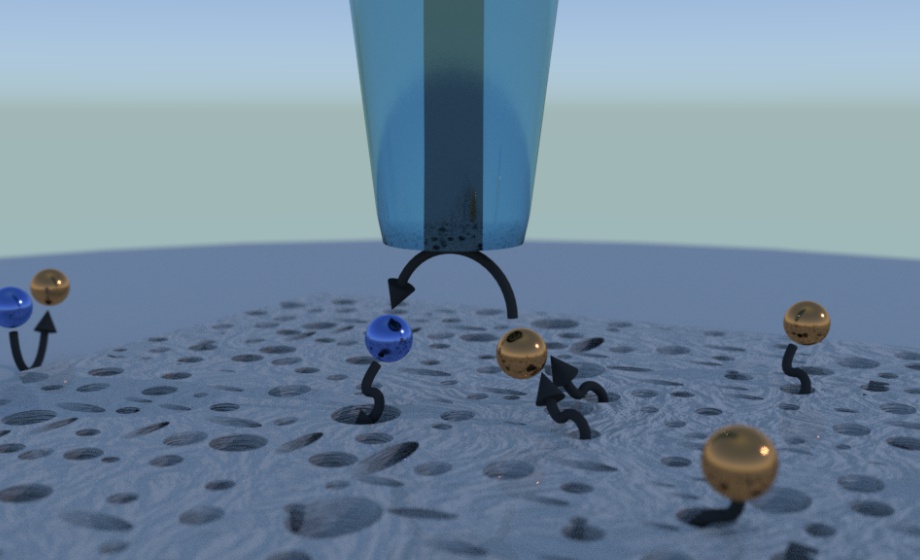 The Wonderful World of Scanning Electrochemical Microscopy_F1