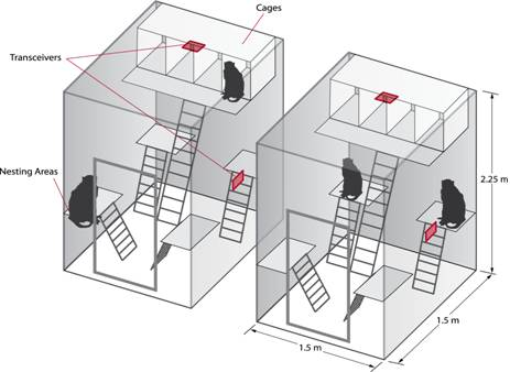 PTD NHP cage