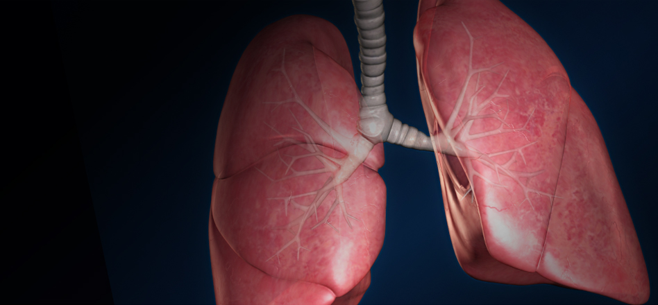 respiratory