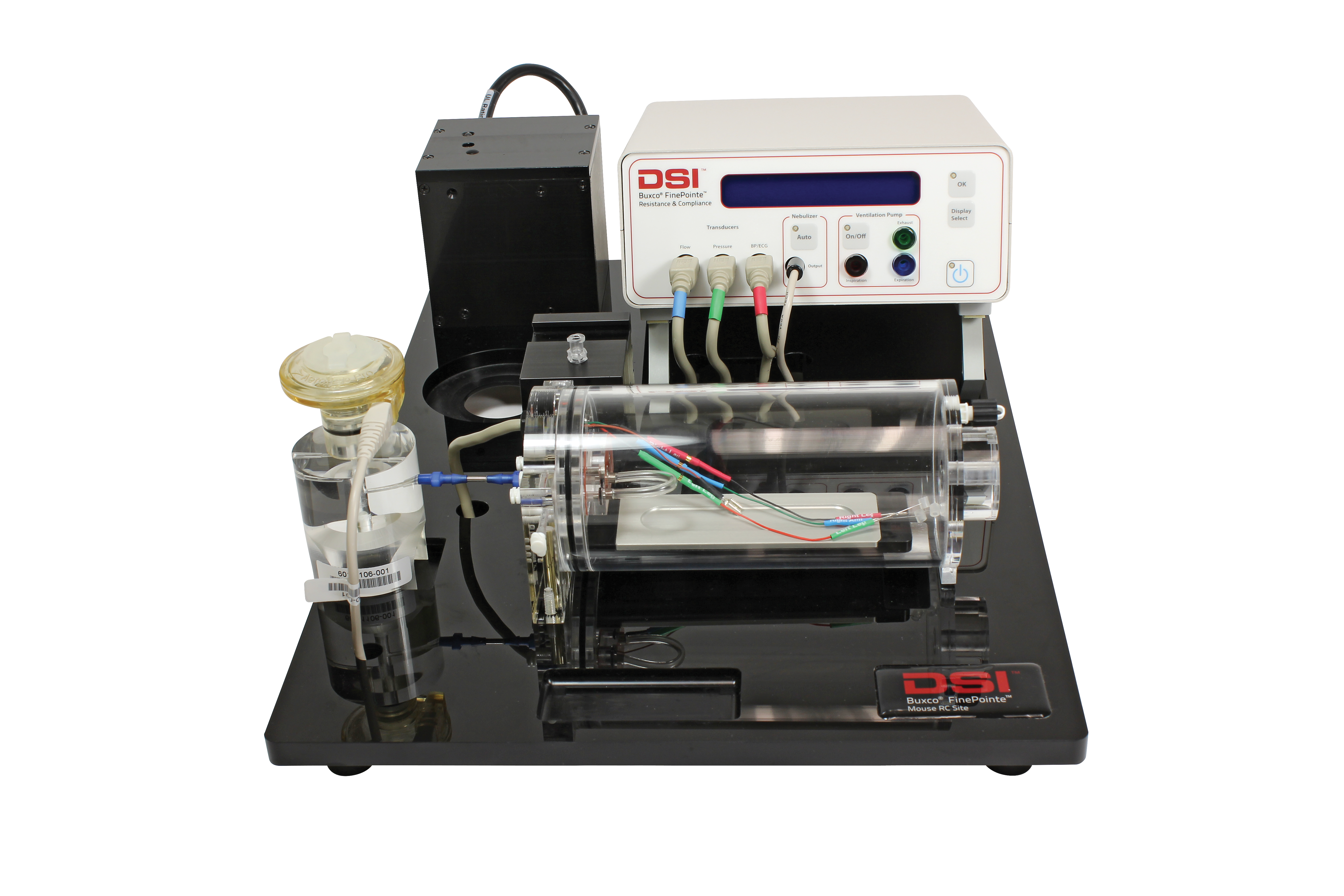 FPRC Mouse_transparent background