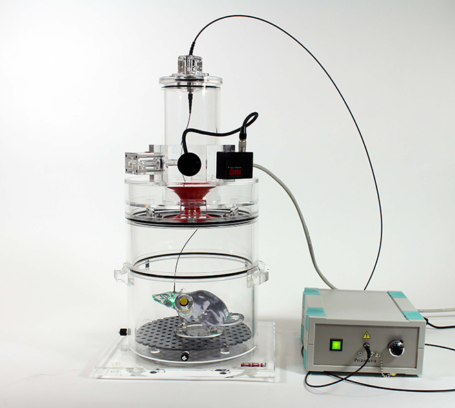 WBP Tower Rat with Optogenetics and extension ring