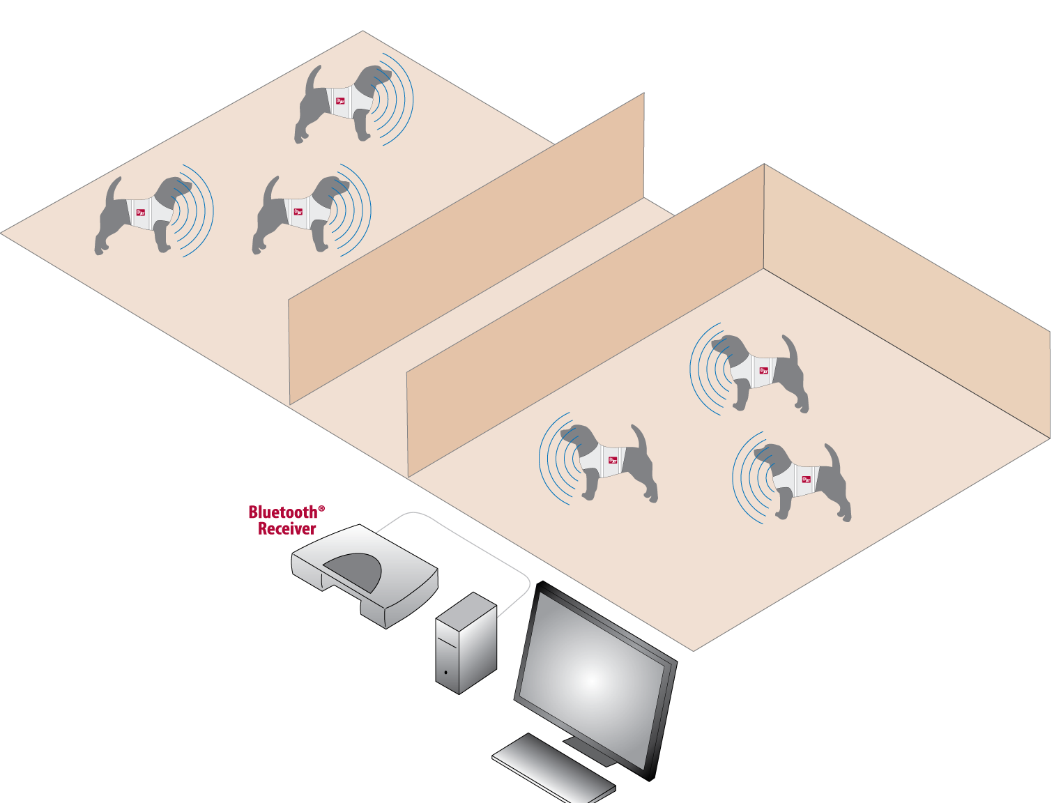 Click to enlarge JET system