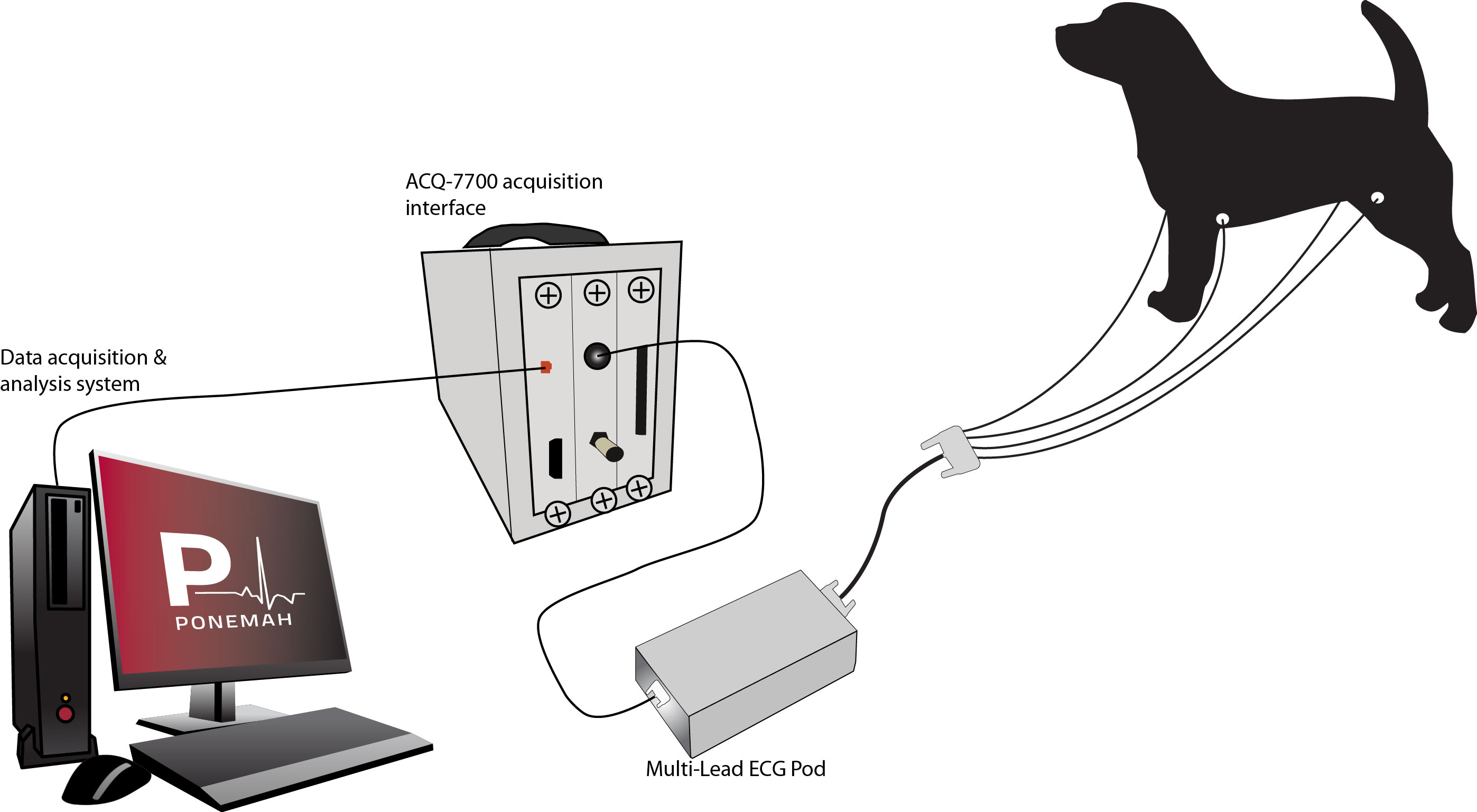 Hardwired System
